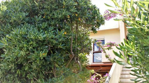 Apartamento Italianway - Le Vele 6