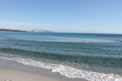 Tanaunella Apartment Sleeps 4 With Pool Air Con And Wifi