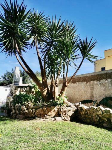 Bed & Breakfast Villa & Mare