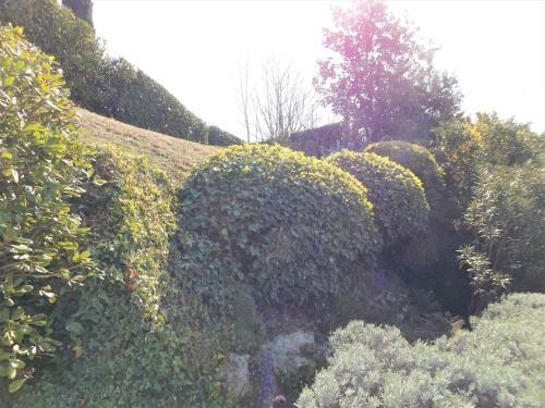 Apartamento Villetta Griselle