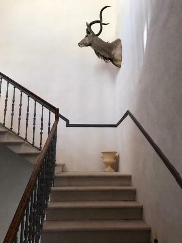 Palazzo Romanelli B&B