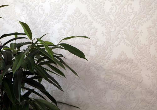 Apartamento Charming Palace Santa Fosca