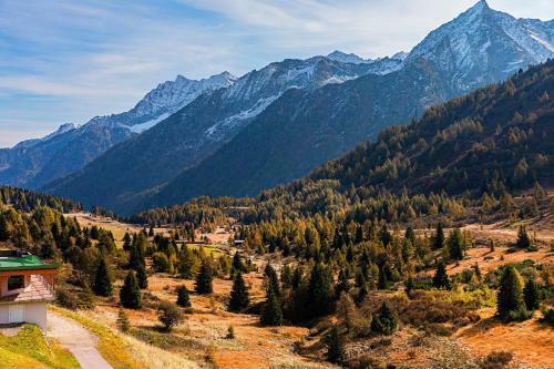 Apartamento Torre Al Tonale