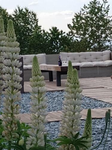 Bed & Breakfast Locanda C� Del Pian