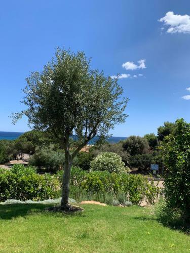 Porto Corallo / Costa Rei