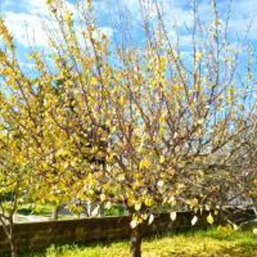 House With One Bedroom In Vittoria With Wifi