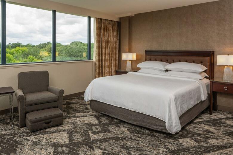 Hotel Crowne Plaza Tampa East