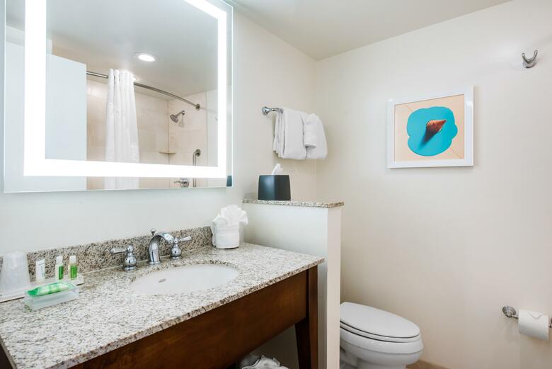 Hotel Holiday Inn Orlando - In Walt Disney