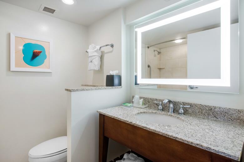 Hotel Holiday Inn Orlando - In Walt Disney