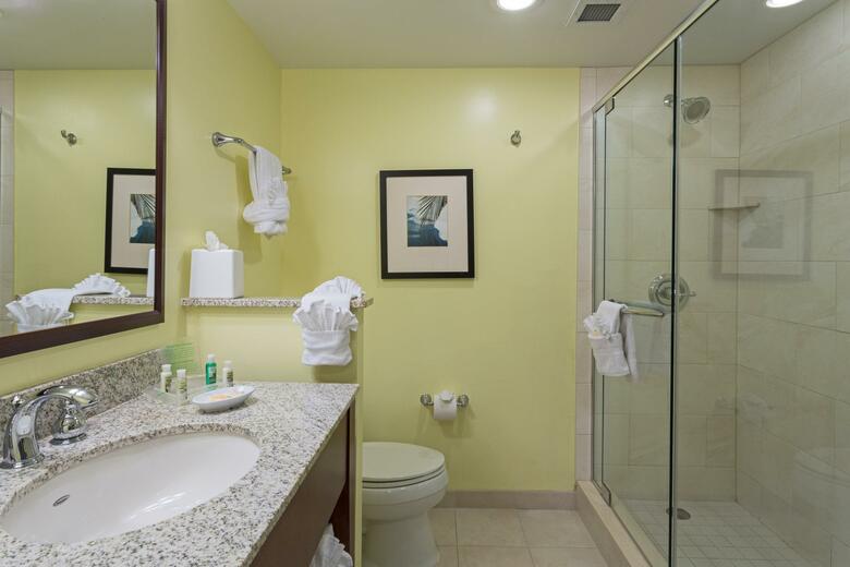 Hotel Holiday Inn Orlando - In Walt Disney