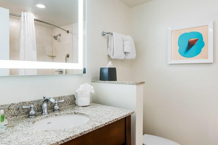 Hotel Holiday Inn Orlando - In Walt Disney