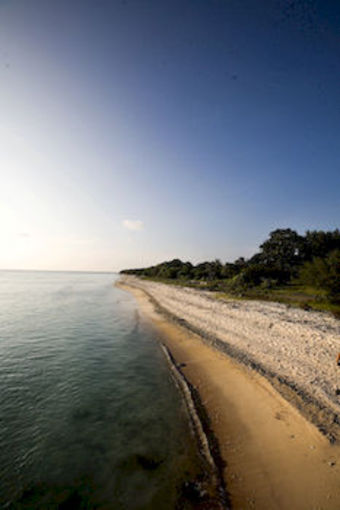 Villa Grasia Resort & Spa
