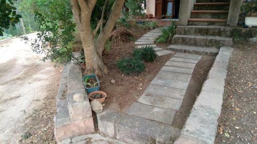 Green House - Woods And Beaches - Sardinia