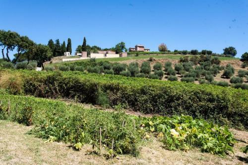 Podere Caldaruccio La Pineta - Bungalow