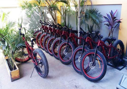 Hostal Tropica Gili Total Body Fit