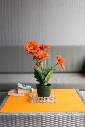 Hostal Tropica Gili Total Body Fit