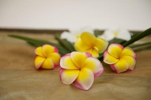 Hotel Anantara Vacation Club Legian