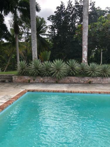 Impeccable 3-bed Villa In Montego Bay