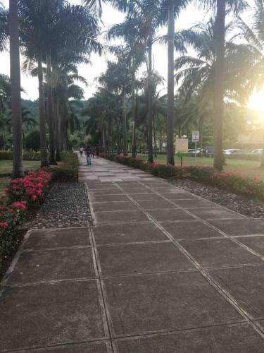 Immaculate 1-bed Villa In Ocho Rios