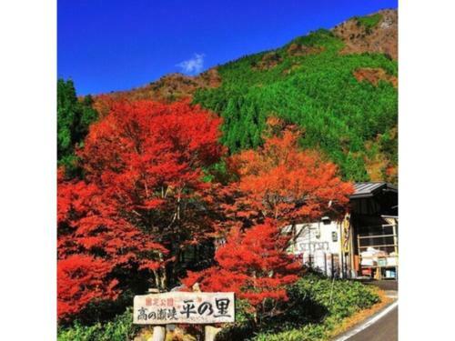 Hotel Sun Ocean - Vacation Stay 84259