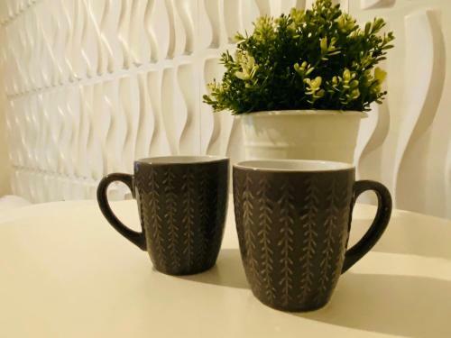 Apartamentos Ouchi Hotel Nishi-tokaichi