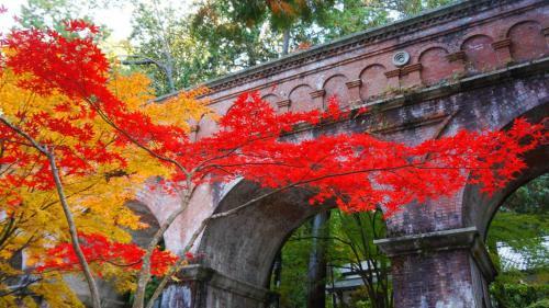 Apartamentos Ellintons House