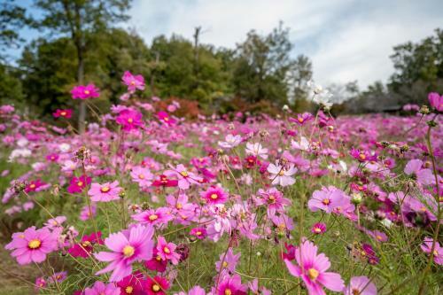 Hotel Fairfield By Marriott Gifu Mino