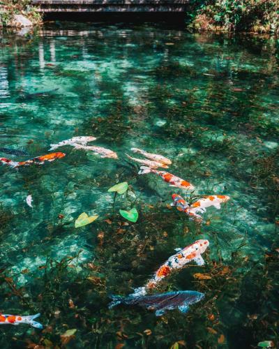 Hotel Fairfield By Marriott Gifu Mino