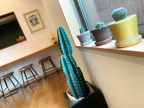 Hotel Cactus Inn / Vacation Stay 51549