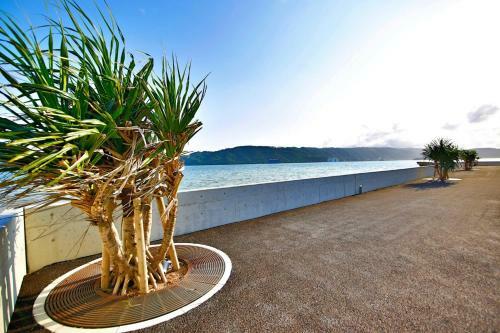 Apartamento Lalacourt Seaside Yagaji 1f