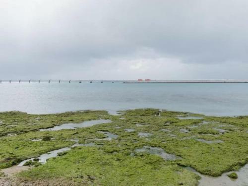 Hotel Pescatore Okinawa - Vacation Stay 20884v