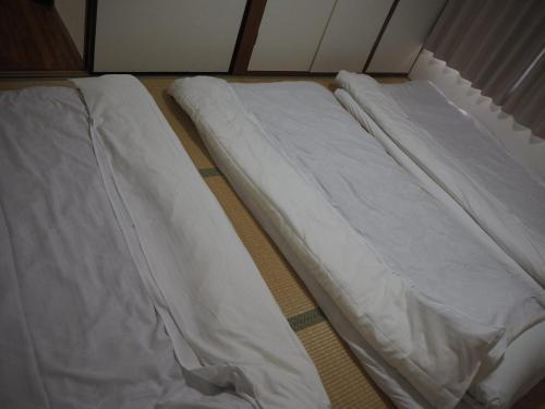 Arakaki House - Vacation Stay 82361