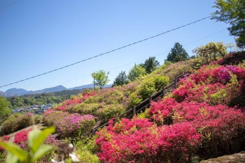 Nakatsugawa - House / Vacation Stay 39303