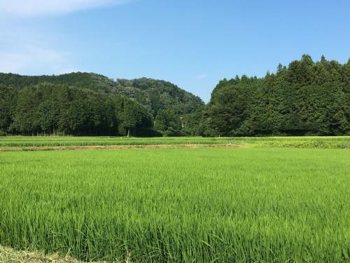 Nikko - House / Vacation Stay 40938
