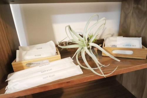 Apartamento Osaka Mainichi Building Vacation Stay 242