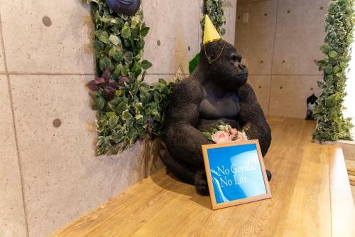 Hostal Guest House Gorilla!