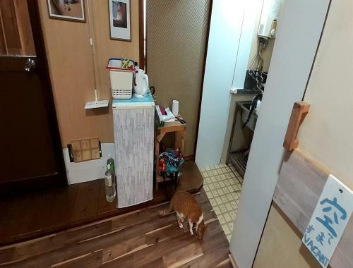 Hostal Tomi - Vacation Stay 10554