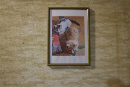 Hostal Tomi - Vacation Stay 10557