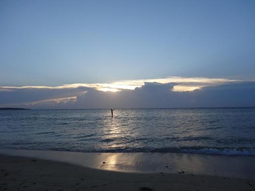 Apartamento Ocean Resort 109