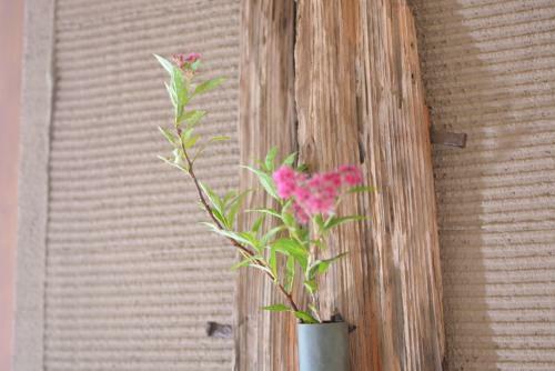 Shirahama No Yado Daigo