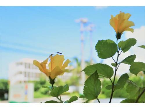 Hotel Home Land - Vacation Stay 13461v