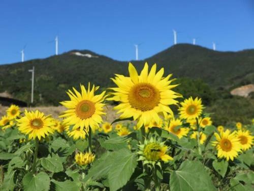 Hotel Avan Sukumo - Vacation Stay 94475