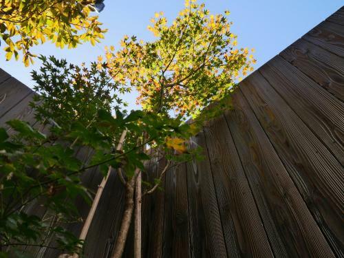 Hida House