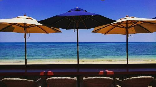 Kunigami-gun - Hotel / Vacation Stay 39703