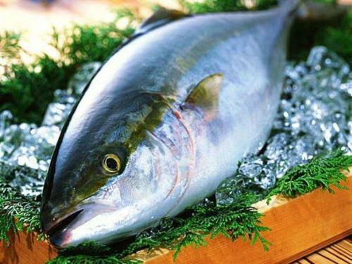 Apa Hotel Uozu-ekimae