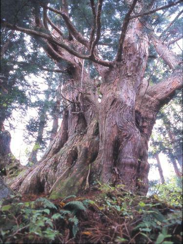 Apa Hotel Uozu-ekimae