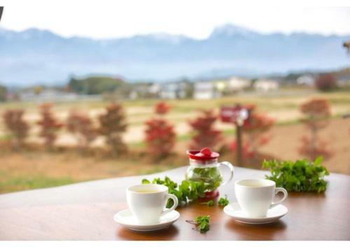 Hostal Twin Dome Ryugu / Vacation Stay 76788