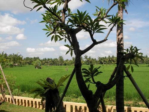 Green Field Hotel And Restaurant