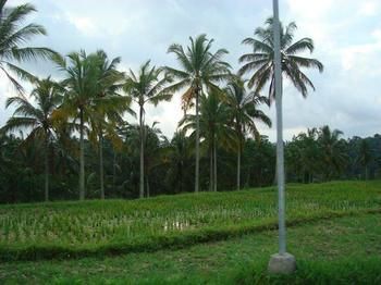 Alam Ubud Culture Villa And Residence