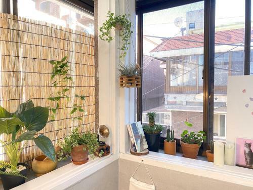 Apartamento Terrace In Mincho House